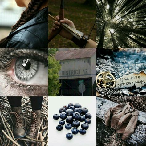 hunger games | katniss everdeen Katniss Everdeen Moodboard, Hunger Games Mood Board, Party Theme Aesthetic, Katniss Everdeen Aesthetic, My Book Aesthetic, Hunger Games Party, Hunger Games Fashion, Hunger Games Katniss, Snow Is Falling