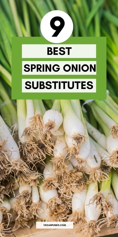 Spring onions on a Pinterest pin with a title. Onion Substitute, Spring Onion Recipes, Vegan Wedding, Vegan Inspiration, Spring Onions, Best Vegan Recipes, Spring Onion, Mouth Watering, Onions