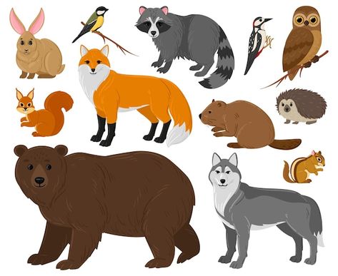 Fox And Bear, Forest Animals Illustration, Cartoon Forest, Owl Bear, Forest Cartoon, Canadian Forest, Fun Activities For Toddlers, Animals And Birds, Wild Forest