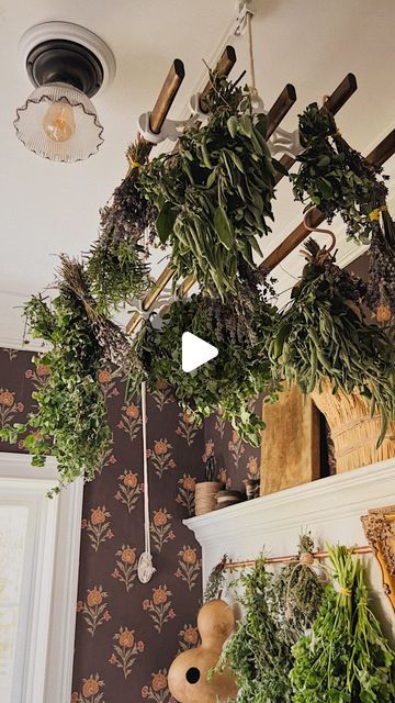 Pantry Hill on Instagram: "We built out this prep kitchen with plans to use it as a space to dry herbs, hence the pulley rack (ours is a Pulley Maid stained and sealed to match our counters) and the copper rail. I simply tie the herbs together in small bundles by the stems using rubber bands (the rubber band contracts as they dry, so the stems won’t slip out). Then I hang them upside down from our pulley rack and the copper rail using “s” hooks. After a few weeks, once they’re dry, I store them in mason jars - sometimes with the whole stems, sometimes just the leaf, and sometimes crushed. We use them for cooking, baking and tea all winter long. 🌿 #pantryhill" Herbs Hanging In Kitchen, Hanging Herbs In Kitchen, Dried Herbs Hanging, Pulley Maid, Pantry Hill, Herb Drying Rack, Witchy Kitchen, Drying Rack Kitchen, Dry Herbs