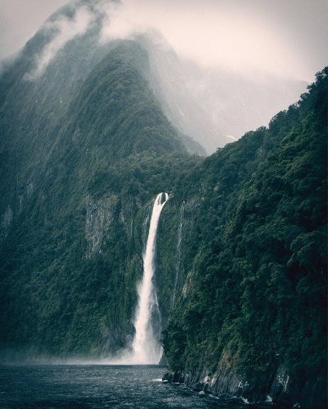 New Zealand Photography Rain Forest Photo Foggy Forest | Etsy New Zealand Photography, Photography Rain, Relaxing Rain, Relaxing Rain Sounds, Sleep Insomnia, Natural Forest, New Zealand Landscape, Forest Photos, Milford Sound