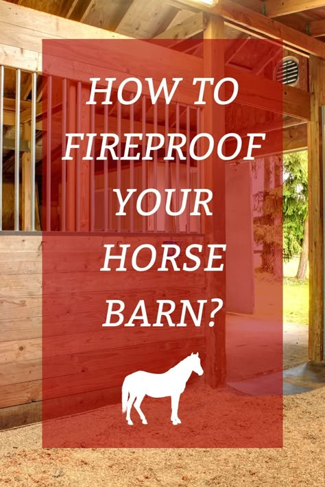 Equine Stables, Equine Barns, Horse Farm Ideas, Diy Horse Barn, Small Barns, Horse Barn Ideas Stables, Barn Hacks, Horse Shelter, Horse Barn Designs