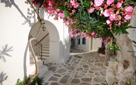 Greece - flowers, streets, village, travel, flower, greece Greece Wallpaper, Santorini Grecia, Santorini Island Greece, Santorini Island, Disney Instagram, Photo Decor, Poster Pictures, Landscape Illustration, Santorini Greece