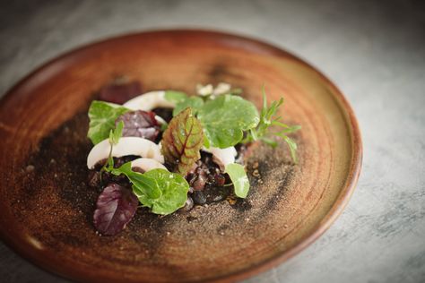 Venison tartare with walnut ketchup, pine oil and mushrooms Venison Tartare, Pickled Walnuts, Tartare Recipe, Ketchup Recipe, Pine Oil, Mushroom Recipe, Great British Chefs, Walnut Recipes, Button Mushrooms