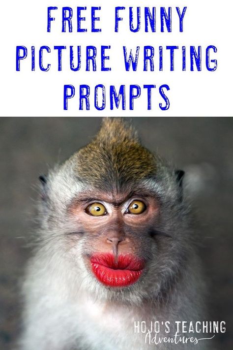 Funny Picture Writing Prompts, 8th Grade Classroom, 7th Grade Writing, Visual Writing Prompts, Picture Writing, 5th Grade Writing, 3rd Grade Writing, Writing Prompts Funny, 2nd Grade Writing