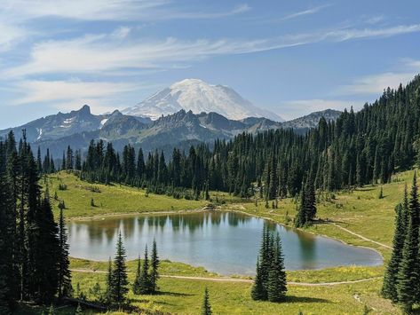 Tipsoo Lake Washington, Tipsoo Lake, Hiking List, Washington Lakes, Snow Trails, Mt Rainer, Lake Washington, Small Lake, Mount Rainier National Park