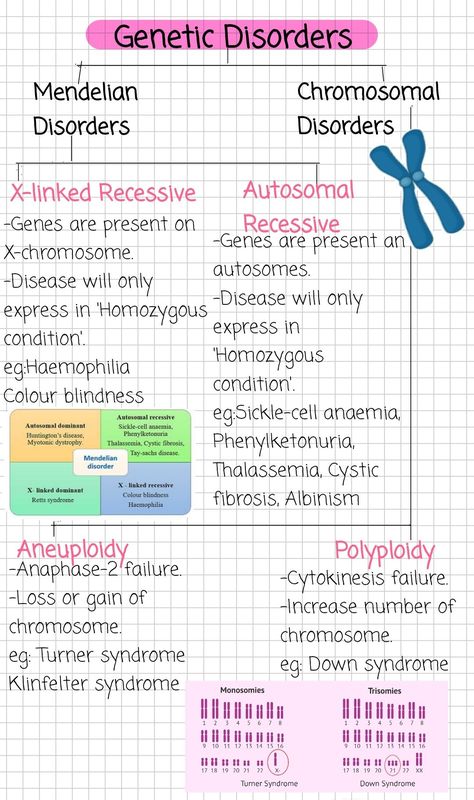 Grade 12 Biology Notes, Biology Notes Genetics, Genetics Notes Biology Class 12, Life Sciences Study Notes Grade 12, Grade 11 Biology Notes, Mendelian Genetics Notes, Biology Notes Cells, Human Biology Notes, Neet Biology Notes