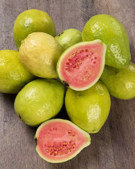 guava - foods high in vitamin c Fruits Name With Picture, Guava Plant, Orange Juice Recipes, Guava Tree, Guava Fruit, Fruit List, Fruit Picture, Healthy Diet Tips, Fruit Photography