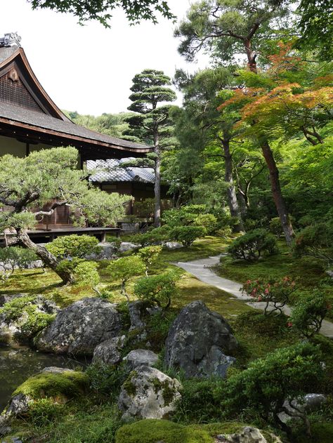 Japan Garden Design, Garden Design Simple, Samurai History, Japanese Martial Arts, Beauty Of Japan, Japanese Garden Landscape, Seaside Garden, Zen Garden Design, Rock Garden Plants