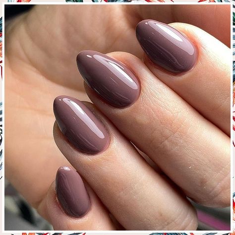 Thanksgiving Nails - The power habits of Smart Consumers - find all you ever needed and get them today. Click to Visit! Expensive Looking Nail Color, Gel Nail Designs For Tan Skin, Almo D Shape Nails, Gel Manicure For Fall, Taupe Colored Nails, Indian Gel Nail Designs, Sold Nail Colors, Normal Polish Nails, Neutral Almond Nails Winter