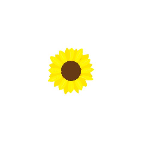 Sunflower Animation, Gif Animated, Neon Room, Reference Drawing, Animated Gifs, Cartoon Wallpaper, Baby Animals, Sunflower