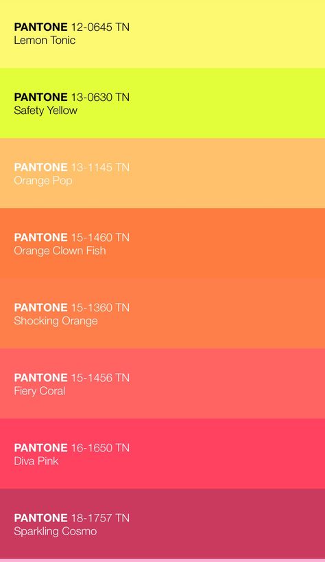 Coral Colour Palette, Neon Coral, Dark Turquoise, Neon Purple, Color Codes, Neon Color, Light Reflection, Coral Color, Makeup Accessories