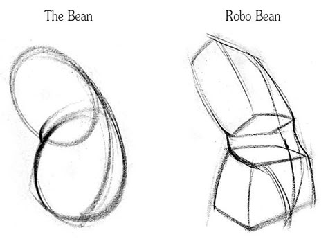 Anatomy-of-the-Pelvis-blog-2 Bean Method Anatomy, Pelvis Drawing Anatomy, Pelvis Sketch, Male Pelvis Anatomy, Drawing Pelvis, How To Draw Pelvis, Pelvis Drawing, Anatomy Drawing Male, Proko Anatomy