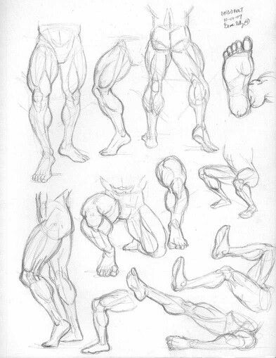 . Leg Muscle Reference, Muscles Sketch, Legs Drawing Reference, Muscle Sketch, Leg Anatomy, Improve Drawings, Anatomy Practice, Drawing Legs, Human Anatomy Drawing