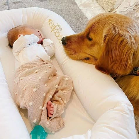 Dog And Baby Pictures, Dogs With Babies, Babies And Dogs, Dog And Baby, Baby And Dog, Dogs And Babies, Baby Tumblr, Newborn Photography Poses, Foto Baby