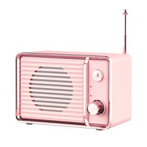 Promotion Gift Mini HiFi Sound Wireless Stereo Bluetooth Speaker on Made-in-China.com Retro Speakers, Emotional Gifts, Small Speaker, Best Gaming Setup, Outdoor Bluetooth Speakers, Speaker Bluetooth, Small Speakers, Pink Power, Bluetooth Audio