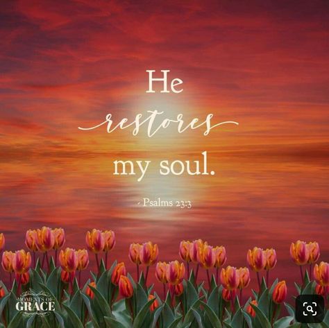 Daughter Scripture, Psalm 23 3, Dark World, Encouraging Scripture, Psalm 23, Biblical Quotes, Bible Prayers, Favorite Bible Verses, Faith Inspiration