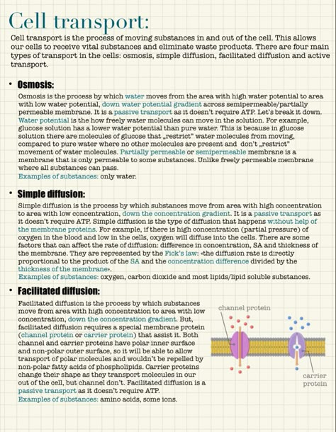 Facilitated Diffusion Biology, Diffusion Biology Notes, Cell Specialization Notes, Diffusion Notes Biology, Osmosis And Diffusion Notes, Ribosomes Notes, Cell Transport Notes, Diffusion Notes, Osmosis Notes