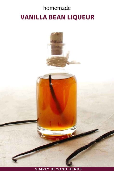 Homemade Liqueur Recipes, Vanilla Liqueur, Diy Vanilla, Infused Liquors, Make Vanilla Extract, Homemade Alcohol, Recipes For The Whole Family, Gin Recipes, Liqueurs Recipes