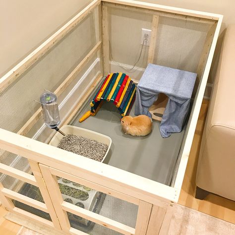 Bunny Ideas Diy, Bunny Cage Diy, Diy Bunny Hutch, Diy Bunny Cage, Indoor Rabbit House, Holland Lop Bunny, Diy Rabbit Cage, Indoor Rabbit Cage, Guinea Pig Diy