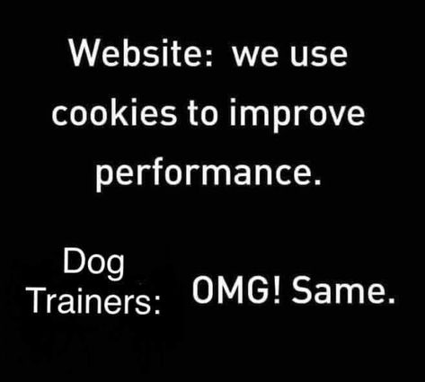 Dog Training Quotes, Trainer Quotes, Dog Infographic, Training Quotes, Dog Quotes Funny, Dog Books, Dog Cookies, Dog Agility, Dog Parents