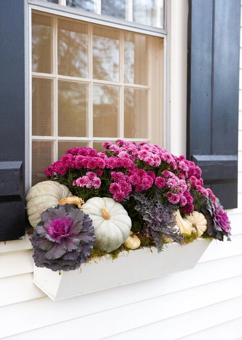 window-box-mum-pumpkins-d71729e9 Fall Flower Boxes, Fall Window Boxes, Potted Mums, Outdoor Fall Decor Ideas, Fall Windows, Fall Container Gardens, Fall Mums, Fall Containers, Window Box Flowers