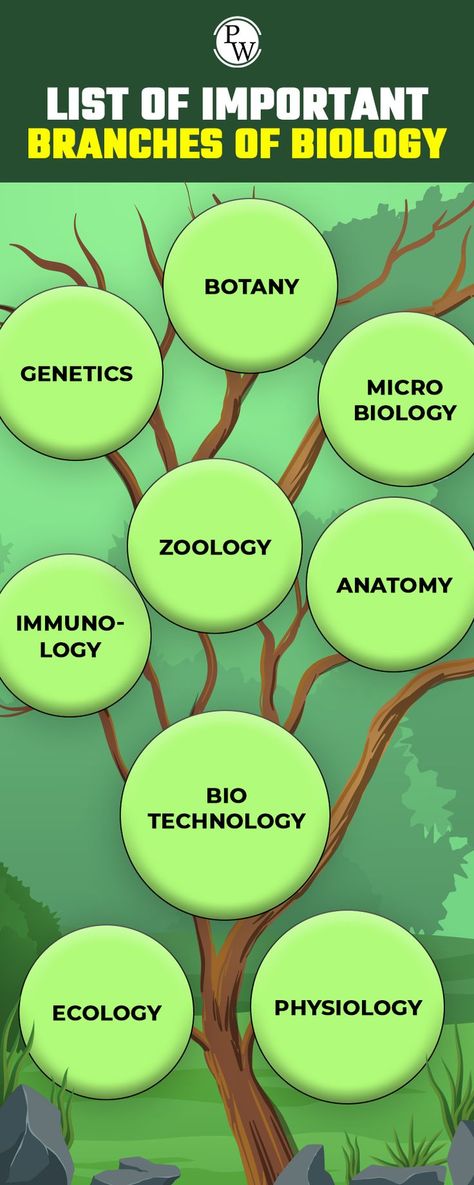 List of Important Branches of Biology What Is Biology, Physics Wallah, Branches Of Biology, Biology Diagrams, Biology Poster, Learn Biology, Branches Of Science, Human Environment, Library Skills