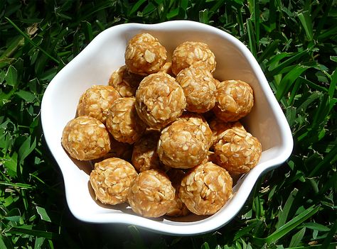 Dog Treat Recipe photos | No Bake Peanut Butter Balls Dog Treat Recipe | Home Style Austin Orange Juice Balls, Orange Balls Recipe, No Bake Peanut Butter Balls, Recipes No Bake, No Bake Dog Treats, Orange Balls, Dog Cookie Recipes, Soft Dog Treats, Dogs Treats