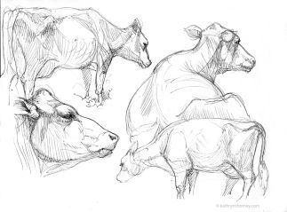 Cow Sketch, Macro Photography Insects, Cow Drawing, Koi Art, Art Students, Live Animals, Farm Art, Creature Drawings, Musical Art