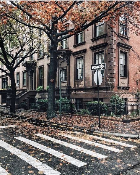 New York Townhouse, Brooklyn Brownstone, Beauty Places, Popular Instagram, Brooklyn Heights, Architectural Drawing, Fall Day, City Aesthetic, Historical Society