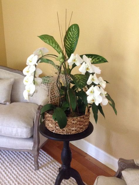 White orchids w indoor green plants in wicker basket Indoor Green Plants, Unique Planters, Unique Planter, Plant Basket, Rattan Basket, White Orchids, Wicker Basket, Diy Home Crafts, Green Plants