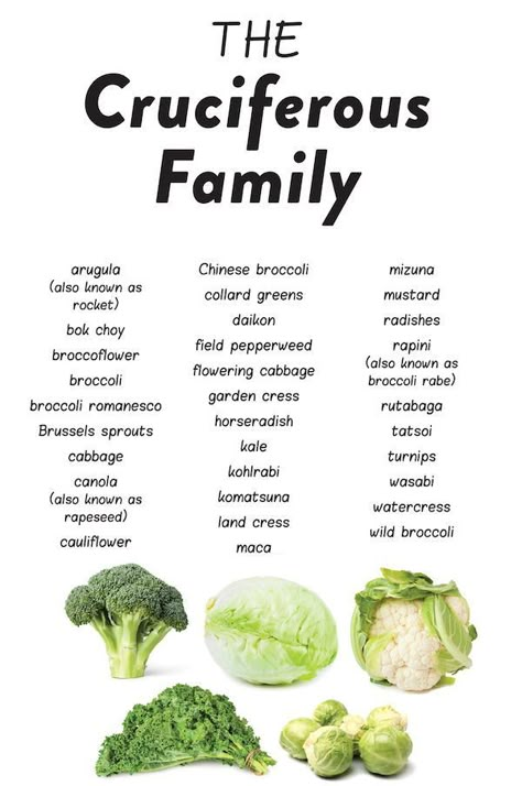 Although crucifers encompass a diverse list of vegetables, every one of them is packed with nutrition! These vegetables tend to be high in fiber, folate, and vitamin K (with leafy green crucifers also being high in vitamin C and carotenoids), but vary in their exact nutritional profile. #nutrientdense #nutrivore #cruciferousveggies The Paleo Mom, Cruciferous Vegetables, Being High, Paleo Mom, List Of Vegetables, High In Fiber, Baking Soda Beauty Uses, Broccoli Cauliflower, Collard Greens