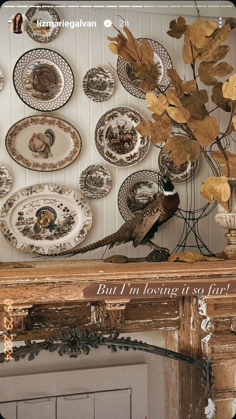 Plate Wall, Style Goals, Decorating Style, Farmhouse Fall, Wall Ideas, Rustic Elegance, Plates On Wall, Wall Design, Decor Styles