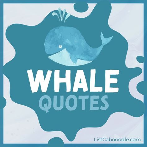 A list of famous whale quotes and sayings. Whale Quotes, Whale Quote, Shark Quotes, Ocean Quotes Inspirational, Sea Whale, Inspirational Funny, Save The Whales, Majestic Creatures, Best Quotes From Books