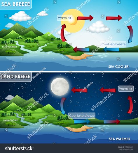 Science poster design for land and sea breeze illustration #Ad , #Affiliate, #design#poster#Science#land Science Poster Design, Sixth Grade Science, Earth Science Lessons, Passive Design, Geography Lessons, Earth And Space Science, Offshore Wind, Land And Sea, World Geography