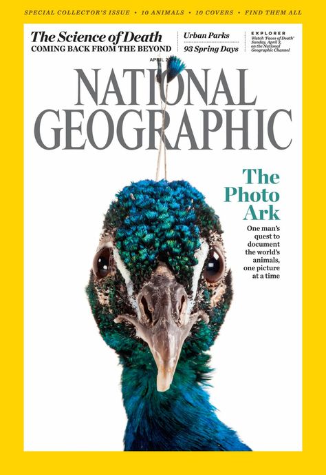 Natural Geographic, National Geographic Cover, Joel Sartore, Mental Fitness, Spring Photoshoot, Mens Glasses Frames, National Geographic Magazine, Urban Park, Magazine Cover Design