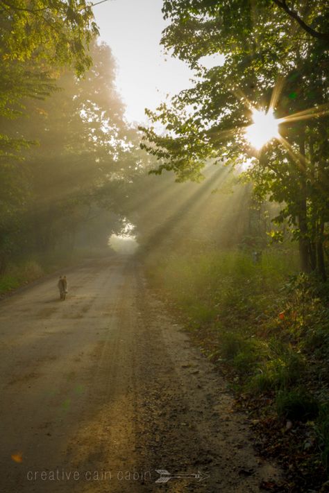 Country Road Morning Walk Photography, Sunrise Walk Aesthetic, Early Morning Walks Aesthetic, Taking Walks Aesthetic, Morning Scenery Sunrises, Morning Walk Aesthetic, Morning Walks Aesthetic, Morning In Nature, Walks Aesthetic