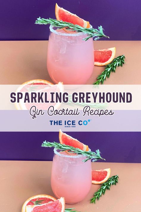 sparkling greyhound gin cocktail recipe Greyhound Cocktail, Grapefruit Drink, Black Fly, Gin Cocktail Recipes, Gin Cocktail, Classic Cocktail, Grapefruit Juice, Gin Cocktails, Sweet And Sour