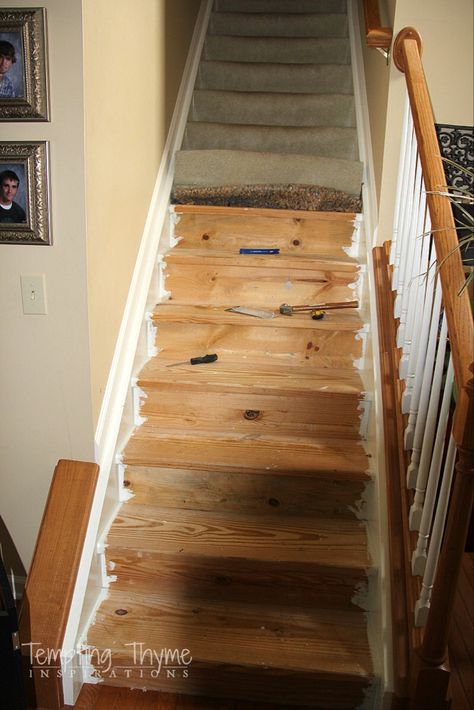 Stair Project Begins: Removing the Carpet and Prepping the Wood | tempting thyme Ripping Up Carpet, Removing Carpet From Stairs, Refinish Stairs, Redo Stairs, Rustic Staircase, Paint Cabinets, Stair Makeover, Hardwood Stairs, Removing Carpet