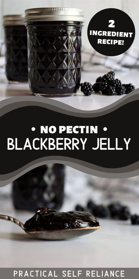 Jelly Without Pectin, Blackberry Jelly Recipe, Canning Blackberries, Canning Fruit Recipes, Fruit Jelly Recipe, Seedless Blackberry Jam, Canning For Beginners, Preserving Fruit, Wild Blackberries