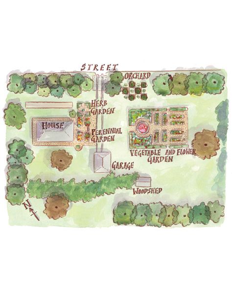 Garden Map, Plant Sketches, Short Plants, Garden Plan, Edible Landscaping, Big Plants, Garden Guide, Garden Tours, Garden Layout