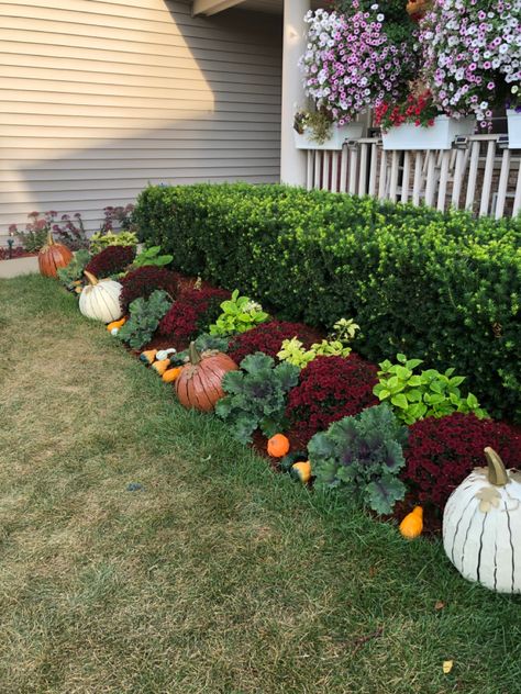 Fall Bench Outdoor, Fall Garden Landscaping, Simple Fall Landscape, Pumpkin Mums Fall Decorating, Fall Flowers Front Yard, Front Curb Appeal Ideas, Front Yard Fall Landscaping, Fall Garden Ideas Decor, Fall Flowers Outdoor