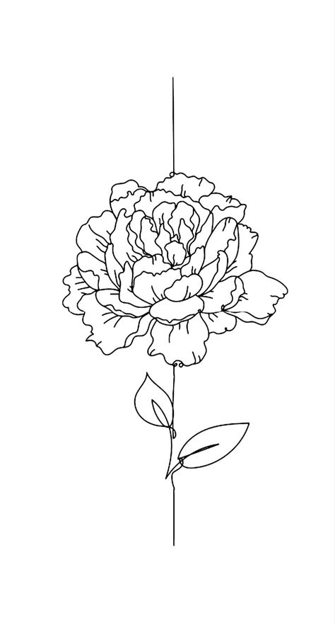 Peony Line Art, Line Art Flowers, Piskel Art, Kunst Tattoos, Art Flowers, Line Art Drawings, Flower Tattoos, 그림 그리기, Flower Drawing