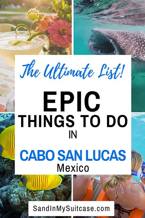 Cabo Bucket List, San Jose Del Cabo Things To Do In, Cabo Things To Do, Things To Do In Cabo San Lucas Mexico, Things To Do In Los Cabos Mexico, What To Do In Cabo San Lucas, Things To Do In Cabo San Lucas, Cabos San Lucas Mexico, Cabo Honeymoon