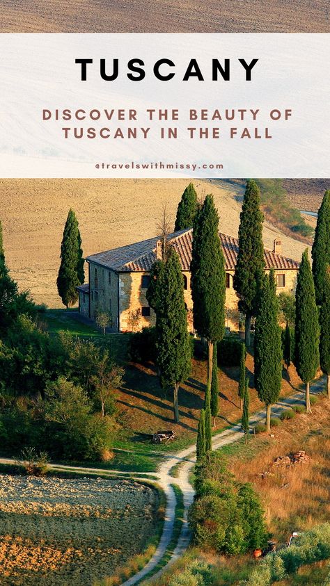 Explore the magnetic region of Tuscany in the fall. From truffle festivals, to grape harvests and the romantic cities of Florence and Siena, there are endless things to discover and explore in Tuscany. Tuscany In The Fall, Italy In The Fall, Florence Autumn, Fall In Tuscany, Tuscany In October, Tuscany October, Tuscany In Winter, Wineries In Tuscany Italy, Tuscany In September