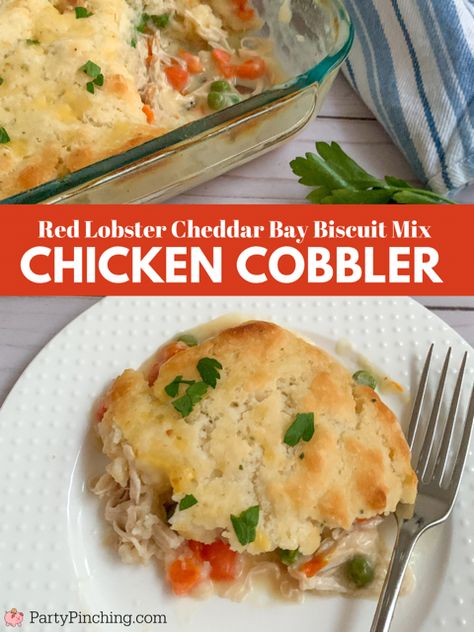 Easy Chicken Cobbler, gluten free TikTok Chicken Cobber Red Lobster Gluten Free Chicken Cobbler, Super Easy Lasagna Recipe, Super Easy Lasagna, Food Recipes For A Crowd, Easy Lasagne Recipes, Gluten Free Pot Pie, Potsticker Soup, Chicken Cobbler Recipe, Tiktok Chicken