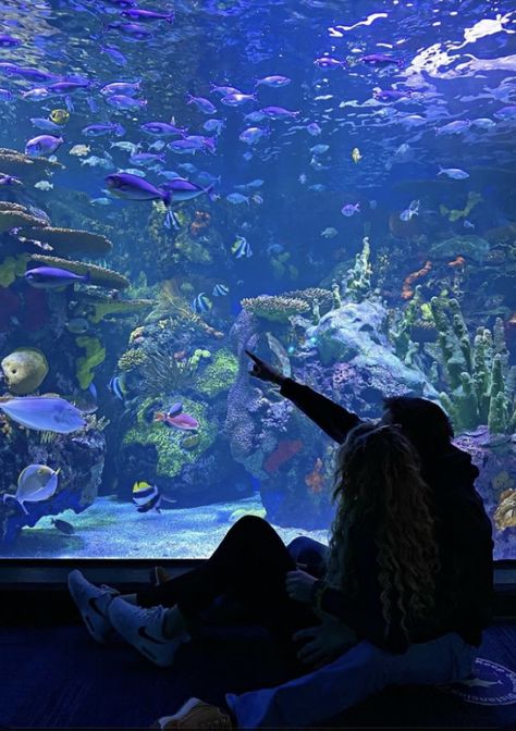 First Anniversary Pictures, Helena Hunting, Aquarium Pictures, Dream Dates, Shedd Aquarium, This Kind Of Love, Cute Date Ideas, Anniversary Pictures, Cute Relationship Photos