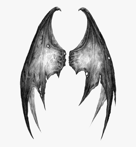 Dragon Wings Tattoo, Angel Wings Tattoo On Back, Wing Tattoos On Back, Alas Tattoo, Tattoo Png, Wings Sketch, Spine Tattoo Ideas, Wings Png, Angel Wings Art