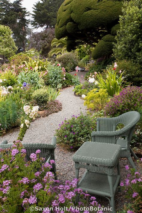 Sitting area by winding gravel pathway in colorful cottage garden Garden Memorial, Gravel Pathway, Traditional Flowers, Colorful Cottage, Indoor Vegetable Gardening, Cottage Garden Design, Gravel Garden, Garden Wallpaper, English Cottage Garden