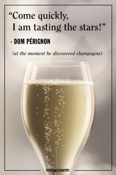 The best way we can think of describing champagne Don Perignon, Champagne Quotes, Champagne Campaign, Best Champagne, Pop Fizz Clink, Champagne Bubbles, Champagne Taste, Champagne Party, Great Gatsby Party